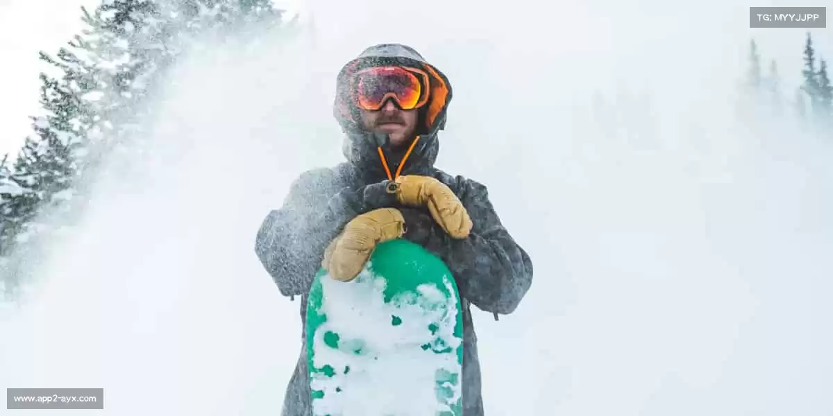 行业领先的理由